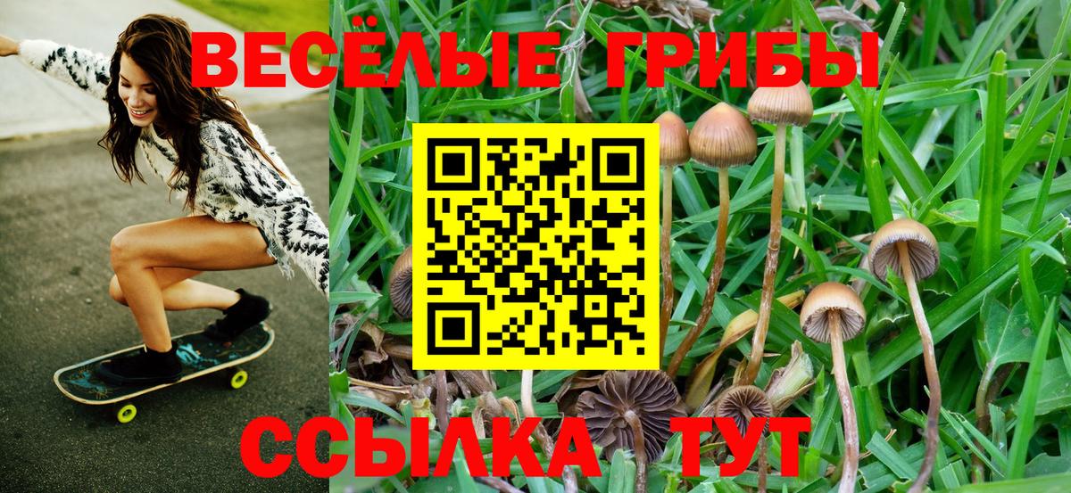 Галлюциногенные грибы Cubensis  закладки  Кемерово  Вход с VPN 